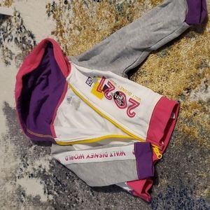 XS Toddler Walt Disney World Hoodie